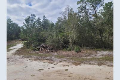Cooter Pond Road, Deland, FL 32720 - Photo 7
