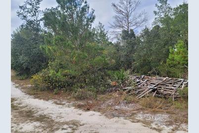 Cooter Pond Road, Deland, FL 32720 - Photo 3