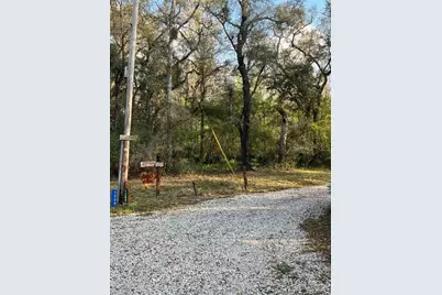 1263 NW 82nd Terrace, Bell, FL 32619 - Photo 9