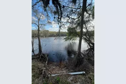 1263 NW 82nd Terrace, Bell, FL 32619 - Photo 5