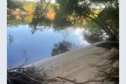 1263 NW 82nd Terrace, Bell, FL 32619 - Photo 3