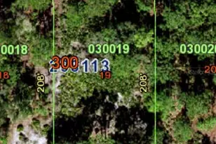 1011 Tropicana Dr, Indian Lake Estates, FL 33855 - Photo 1