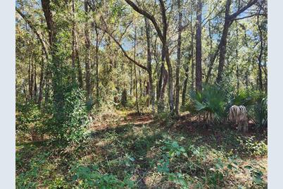 Markham Woods Road, Longwood, FL 32779 - Photo 3