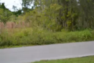 0 Chuluota Rd, Oviedo, FL 32765 - Photo 7