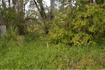 0 Chuluota Road, Oviedo, FL 32765 - Photo 13