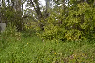 0 Chuluota Rd, Oviedo, FL 32765 - Photo 13