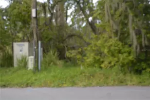 0 Chuluota Rd, Oviedo, FL 32765 - Photo 15