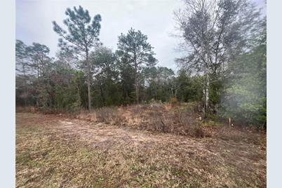 Tbd NE 11th Street S, Williston, FL 32696 - Photo 3