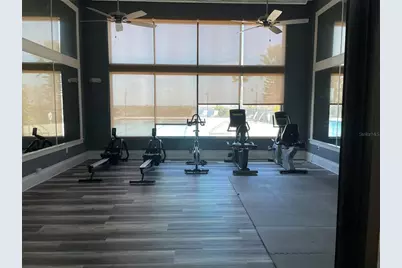 356 Caladium Avenue, Lake Alfred, FL 33850 - Photo 9