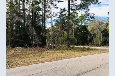 Tbd NE 15th Street, Williston, FL 32696 - Photo 1