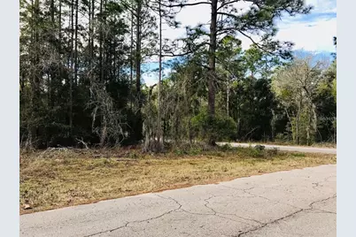 Tbd NE 15th Street, Williston, FL 32696 - Photo 1
