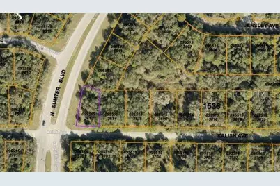 Kalish Avenue, North Port, FL 34286 - Photo 3
