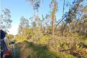 461 Nightingale Ave, Sebring, FL 33872 - Photo 3