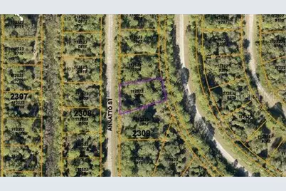 Annatto Street, North Port, FL 34288 - Photo 3