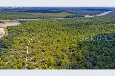 S Apopka Vineland Road, Orlando, FL 32821 - Photo 7