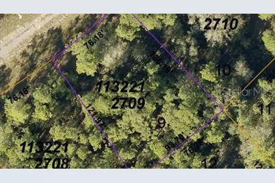 Lestock Avenue, North Port, FL 34288 - Photo 3