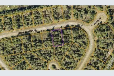 Rosequeen Circle, North Port, FL 34288 - Photo 3