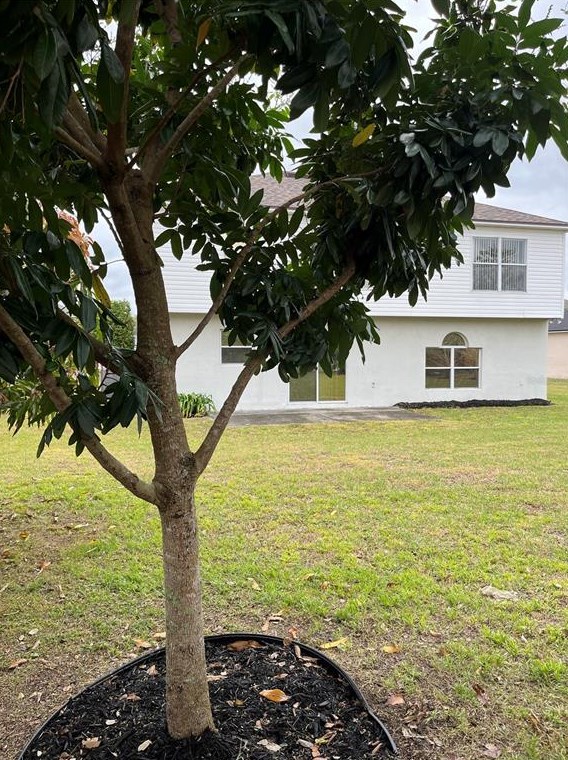 844 Sun Rdg Vlg Dr, Winter Haven FL  33880-1970 exterior