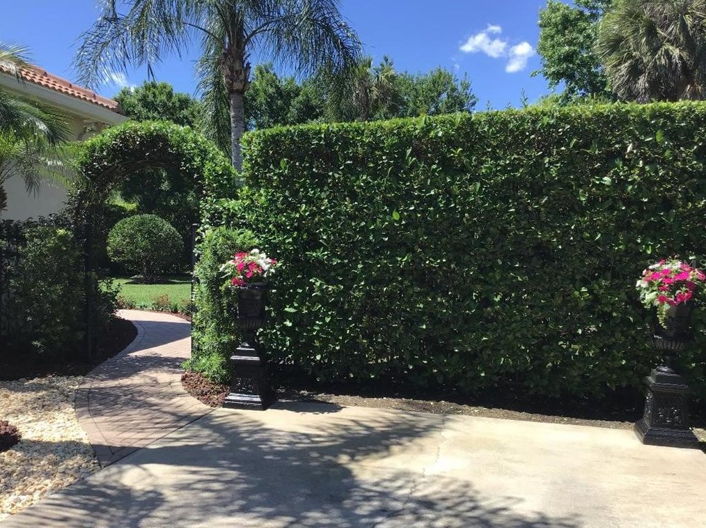 1487 Shadowmoss Cir, Lake Mary FL  32746-4464 exterior