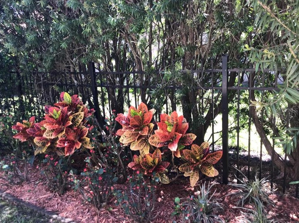 1487 Shadowmoss Cir, Lake Mary FL  32746-4464 exterior