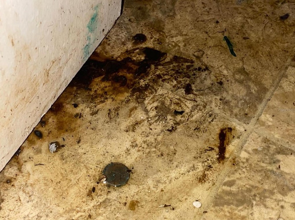 824 Mulberry St, Daytona Beach FL 32114-2172 exterior