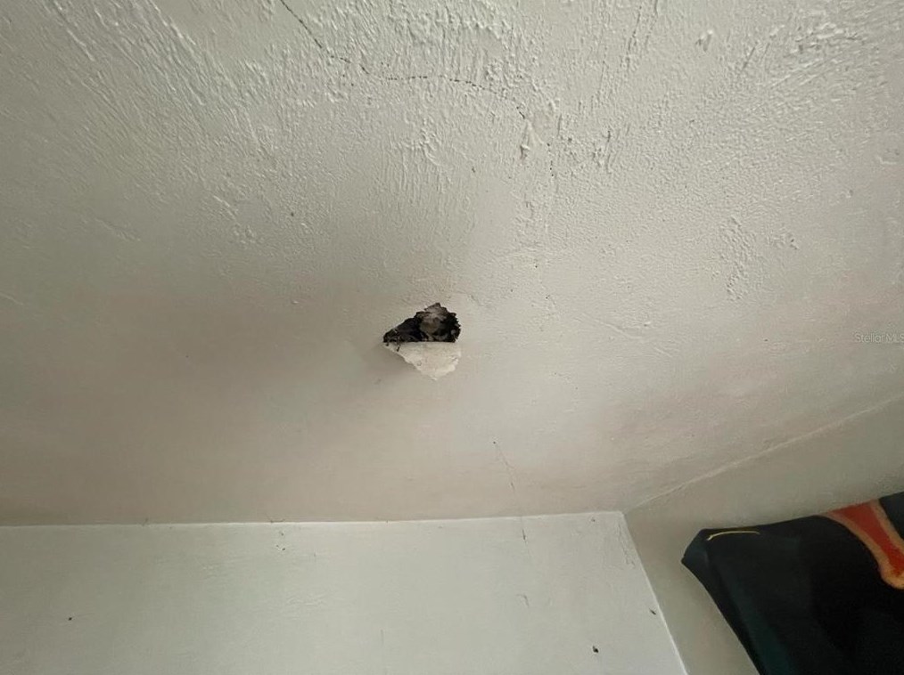 824 Mulberry St, Daytona Beach FL 32114-2172 exterior