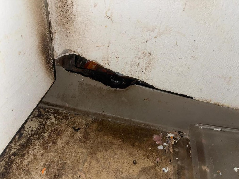 824 Mulberry St, Daytona Beach FL 32114-2172 exterior