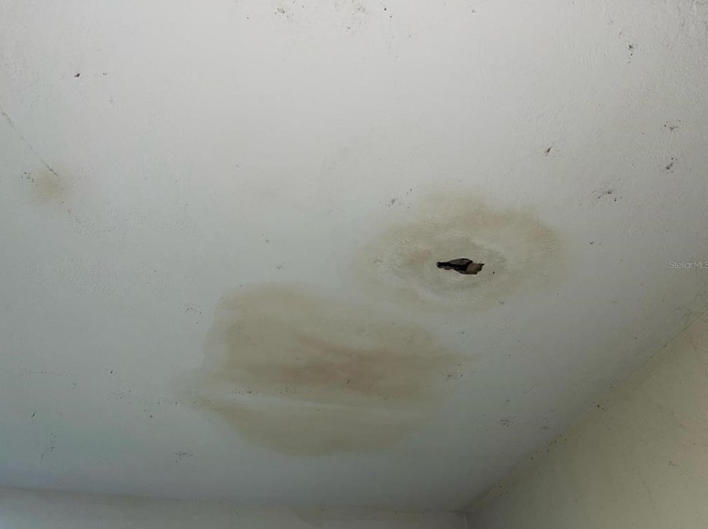 824 Mulberry St, Daytona Beach FL 32114-2172 exterior