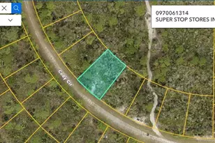 Cody Circle, North Port, FL 34291 - Photo 1