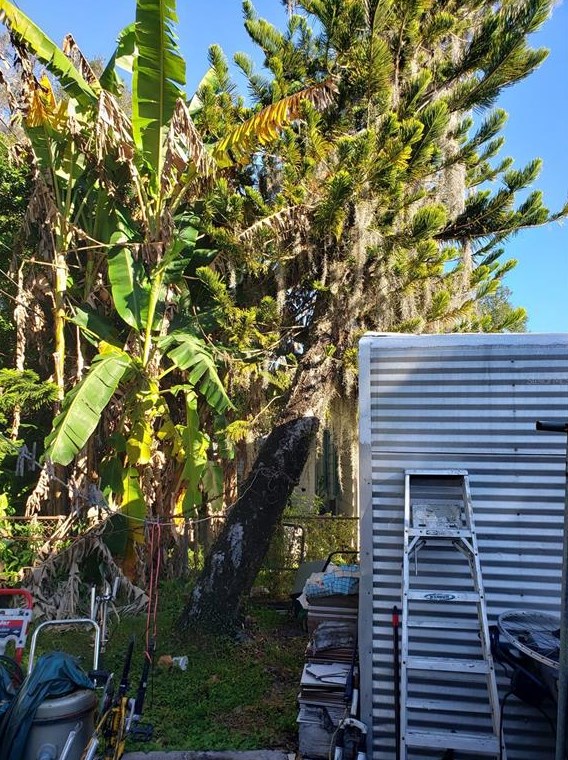 2936 Rossi Ln, Lakeland FL  33801-3034 exterior