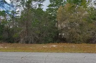 1428 Hillsborough Dr, Poinciana, FL 34759 - Photo 1