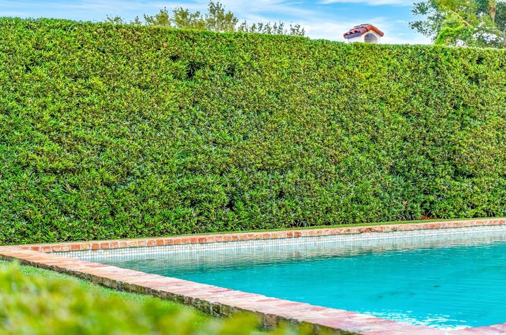 1460 Via Tuscany, Winter Park FL 32789-2654 exterior