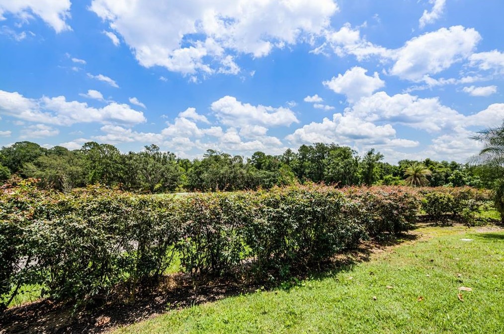 7576 Excitement Dr, Kissimmee FL 34747-6749 exterior