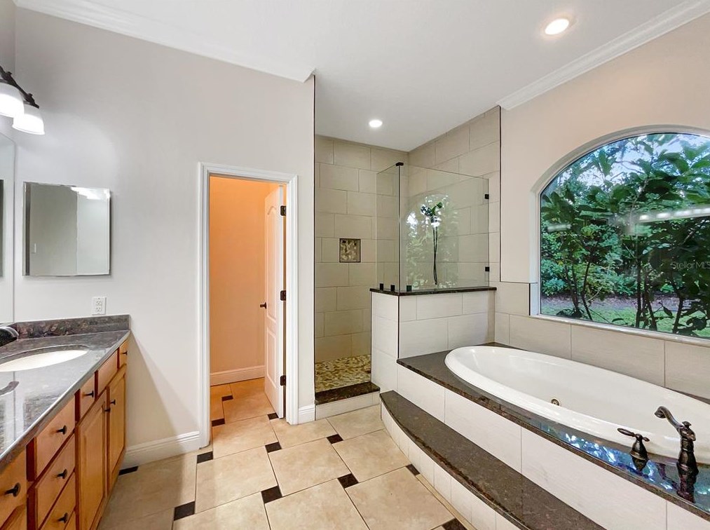 2513 Andrea Lynn Dr, Lutz FL  33549-5022 exterior