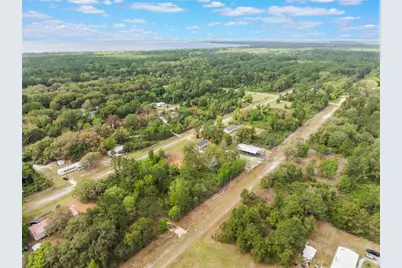 515 Gardenia Avenue, Georgetown, FL 32139 - Photo 5