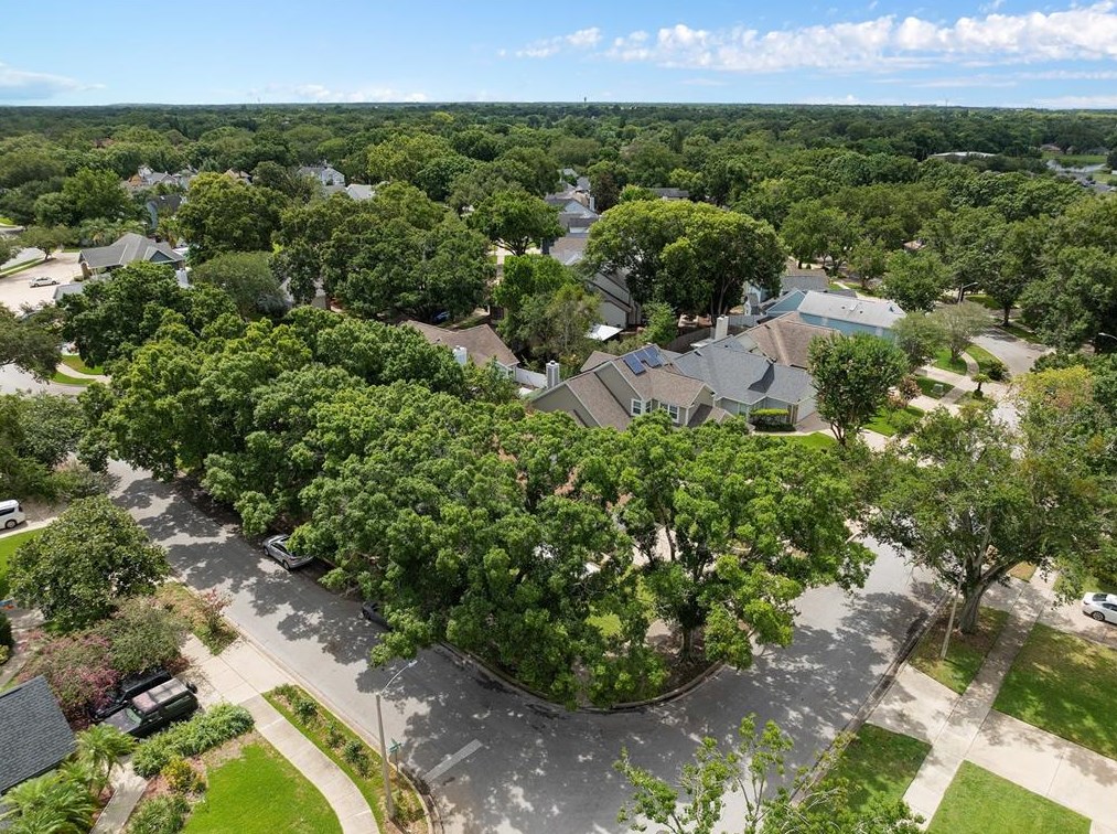 2501 Donaldson Dr, Orlando FL  32812-8406 exterior