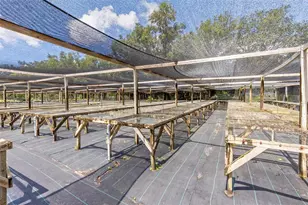 424 E Welch Rd, Apopka, FL 32712 - Photo 9