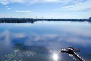 9060 Heritage Bay Cir, Orlando, FL 32836 - Photo 31