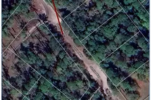 6206 Sunrise Way, Sebring, FL 33875 - Photo 5