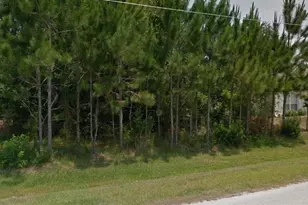 Martigues Dr, Kissimmee, FL 34759 - Photo 1