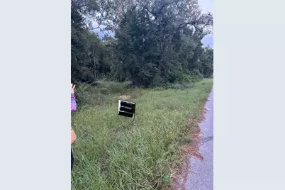 Lot 20 NE 155th Court, Williston, FL 32696 - Photo 5