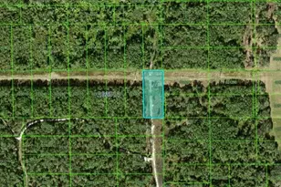 N/A, Winter Haven, FL 33880 - Photo 1