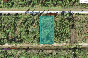 403 Tropicana Dr, Indian Lake Estates, FL 33855 - Photo 1