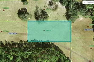 Commonwealth Ave N, Polk City, FL 33868 - Photo 1