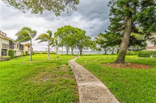 6219 Palma Del Mar Blvd S, Saint Petersburg, FL 33715 - Photo 35