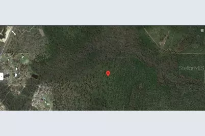 12241 Pineridge Road, Fountain, FL 32438 - Photo 3