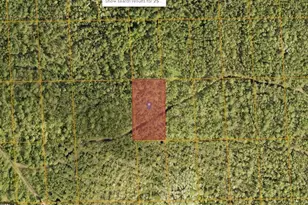 12th Ave, Deland, FL 32724 - Photo 1