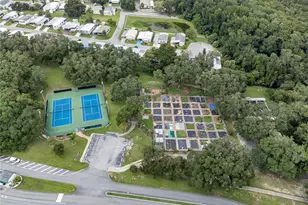 411 Palo Verde Dr, Leesburg, FL 34748 - Photo 55