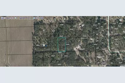 Cr-340, Bell, FL 32619 - Photo 1