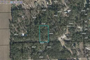 Cr-340, Bell, FL 32619 - Photo 1